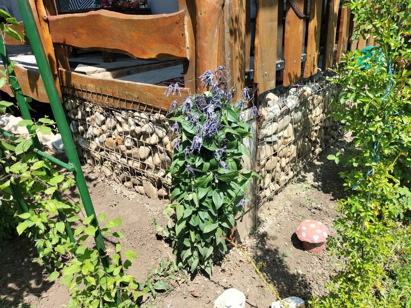 IMG20230523133213 - Primăvara 2023