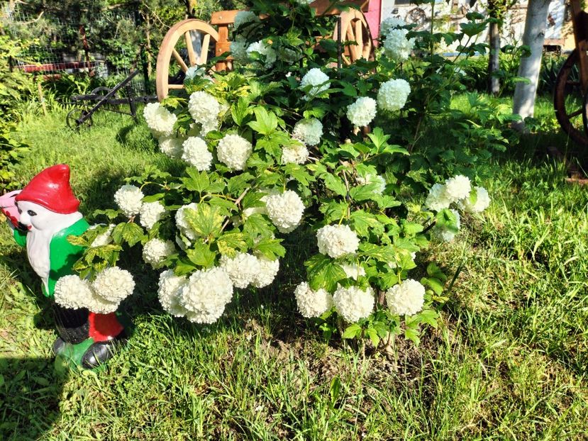 IMG20230523085502 - Primăvara 2023