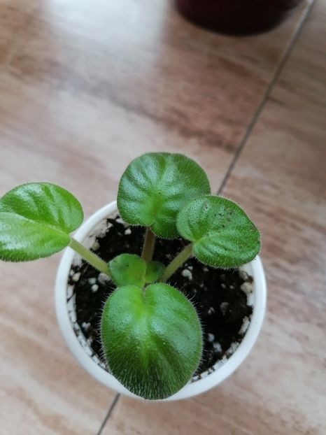 AE- Milky Way - AE-Milky Way