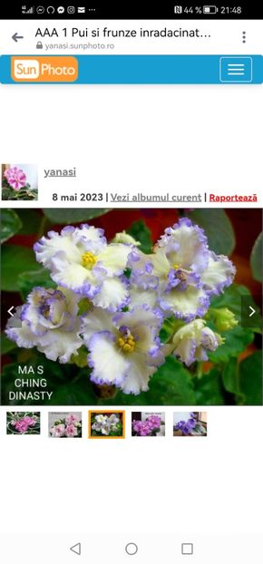 Screenshot_20230508_214900_com.facebook.orca - Ma-s Ching Dynasty