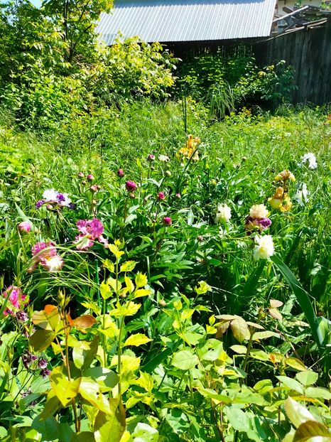 IMG20230524111403 - Mai 2023 vol 1