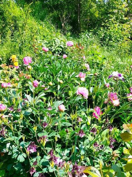 IMG20230524111359 - Mai 2023 vol 1