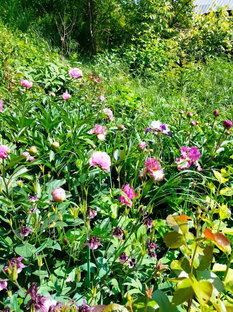 IMG20230524111355 - Mai 2023 vol 1