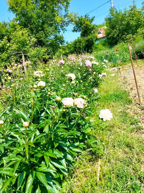 IMG20230524111304 - Mai 2023 vol 1