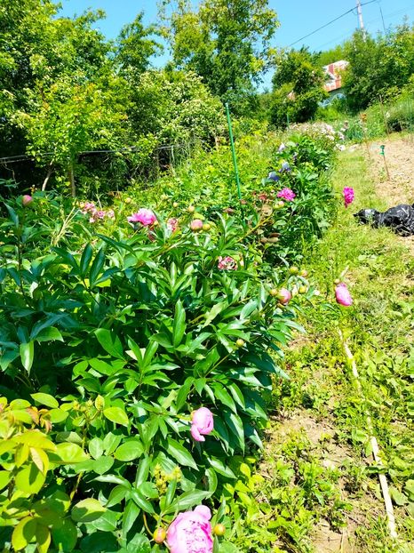 IMG20230524111239 - Mai 2023 vol 1