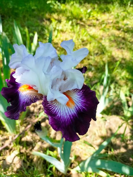 IMG20230524111041 - Mai 2023 vol 1