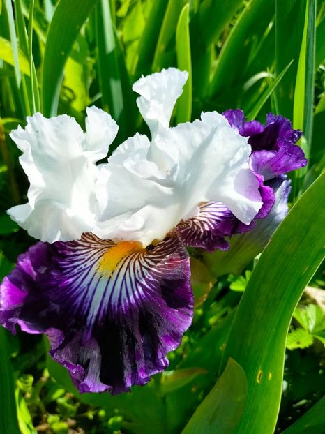 IMG20230524110919 - Mai 2023 vol 1