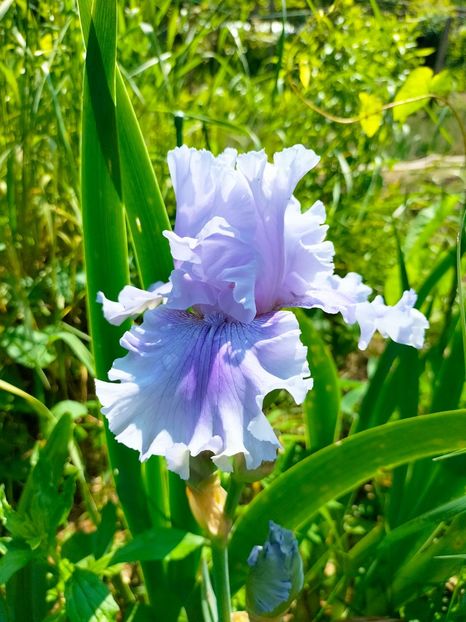 IMG20230524110855 - Mai 2023 vol 1