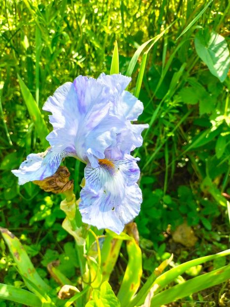 IMG20230524110851 - Mai 2023 vol 1