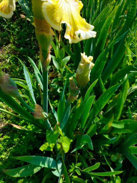 IMG20230524110833 - Mai 2023 vol 1