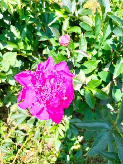 IMG20230524110643 - Mai 2023 vol 1