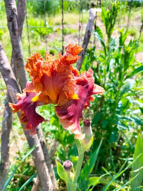 IMG20230524105408 - Mai 2023 vol 1