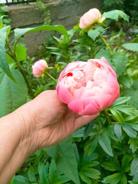 IMG20230523193624 - Mai 2023 vol 1