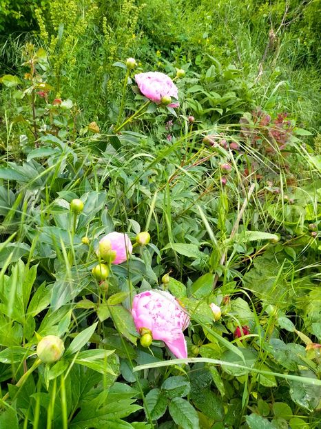 IMG20230523193323 - Mai 2023 vol 1