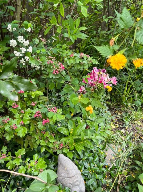 7CC2DDF8-7F20-41D4-A6B6-AFD4058F01B9 - Flori 2022 2023