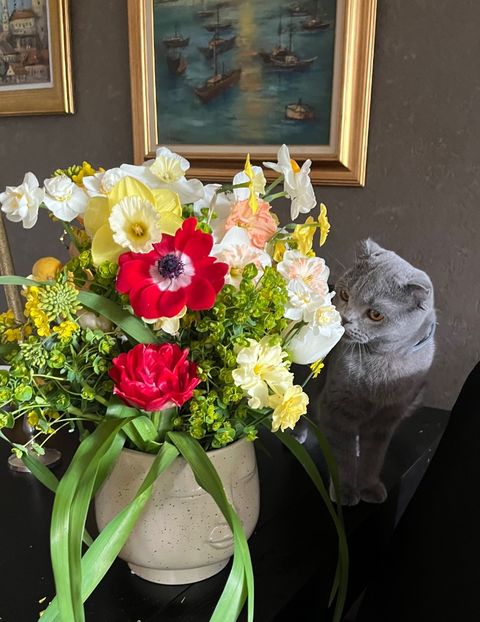 F834F752-99B5-4F73-B604-9C35EC437CC8 - Ianuarie -Februarie 2023