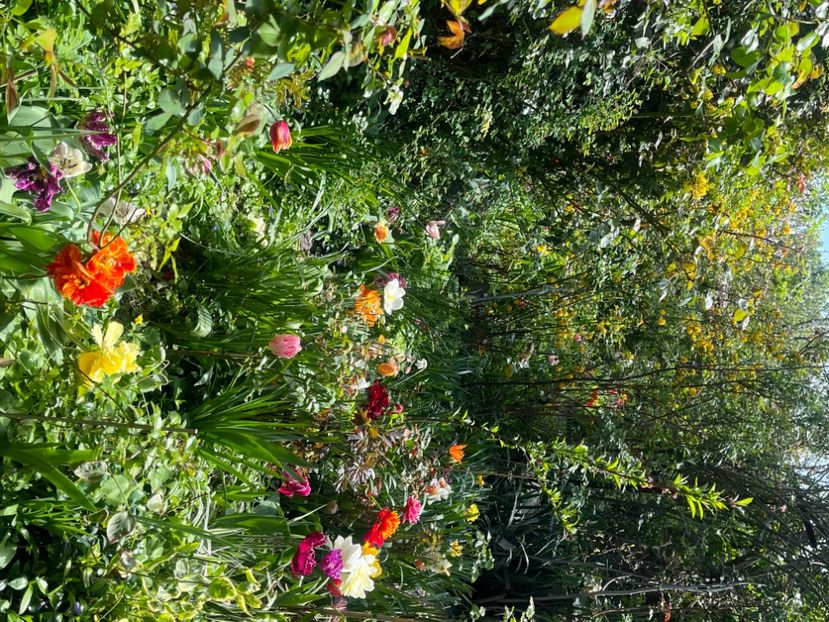 DE4ADBBA-F098-4586-A28D-2C83E12C7196 - Ianuarie -Februarie 2023