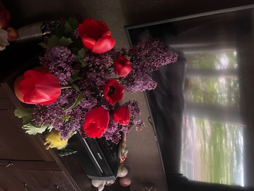 2A79931A-5106-47A1-89F3-D3D0D6288733 - Ianuarie -Februarie 2023