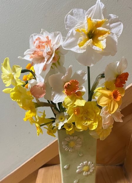 0A9A574A-9FE0-455E-85EE-A118E8F85951 - Ianuarie -Februarie 2023