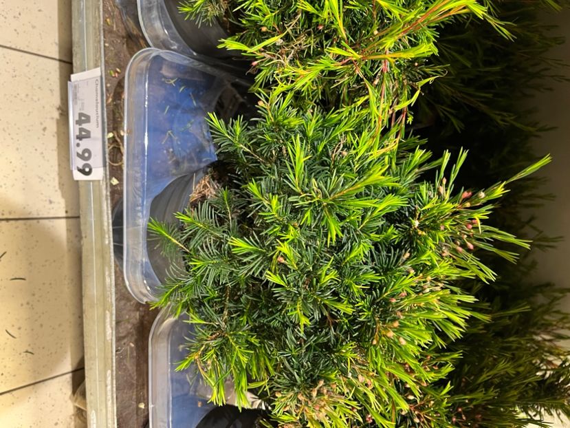 E7203C81-6E38-45EF-A441-DD461FC4D4FE - Ianuarie -Februarie 2023