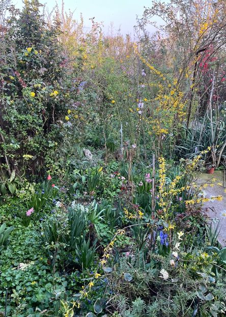 99E933E8-A306-4366-BFBC-8F5339E95382 - Ianuarie -Februarie 2023