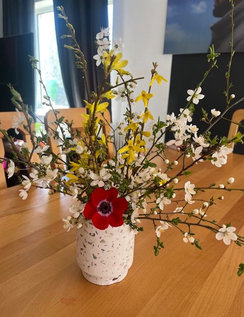 6ECA1593-0000-4B54-A001-E30A3A62B9D0 - Ianuarie -Februarie 2023