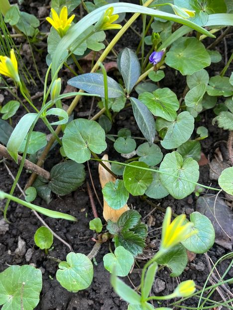 AAB108D8-6CF2-48A2-A105-9074A89BBAF0 - Ianuarie -Februarie 2023