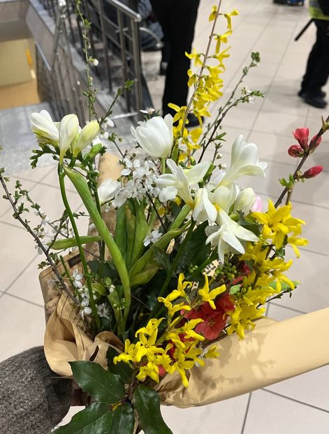 FA275F38-D4EA-4732-A6E4-C261EAB2CFED - Ianuarie -Februarie 2023