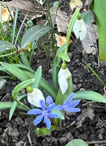 F9DD3B85-95A8-4630-9466-557A2FC7F344 - Ianuarie -Februarie 2023