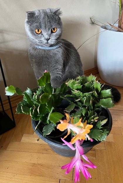 2C49B34A-0A19-48A5-8ADD-9D3BC3EA7998 - Ianuarie -Februarie 2023