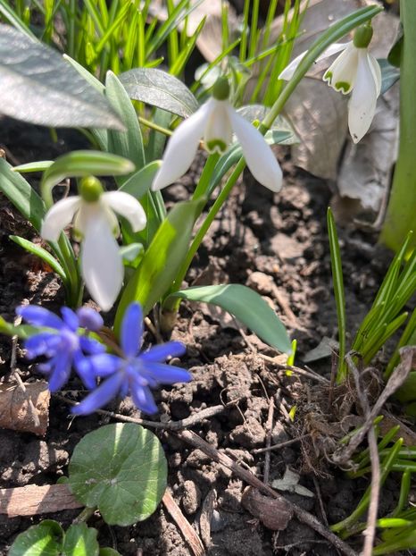 91ADF44A-C16A-4188-93CB-12C94C1A298C - Ianuarie -Februarie 2023