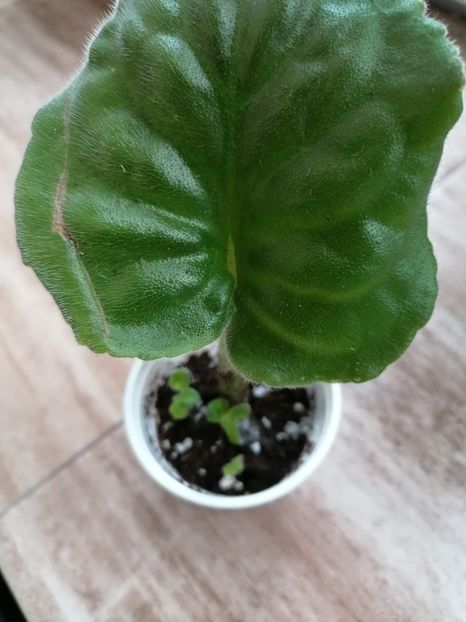 25.05.2023 - PT Anzhelika