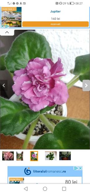 Screenshot_20230525_082730_com.android.chrome - RS Chary