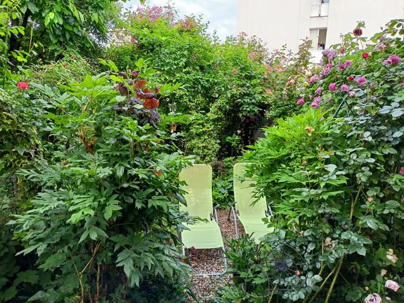  - Grădina 2023 continuare 2