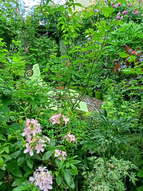  - Grădina 2023 continuare 2