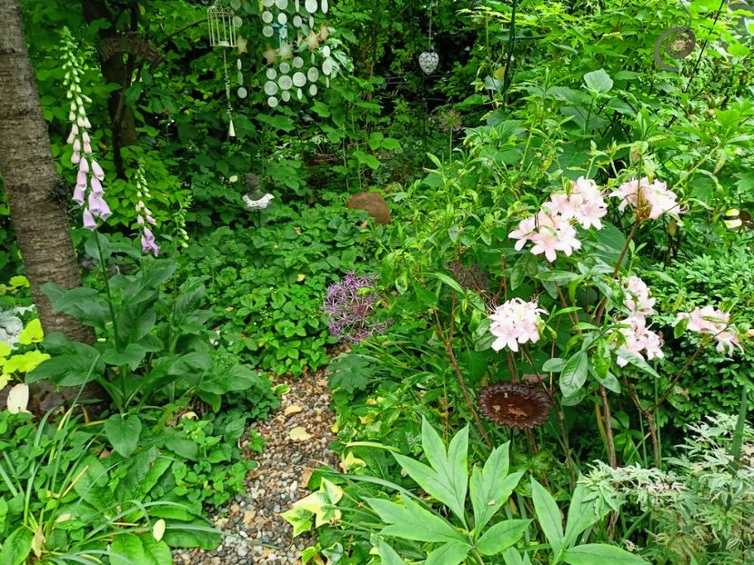  - Grădina 2023 continuare 2