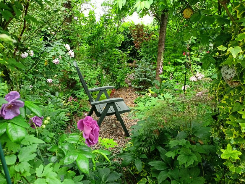  - Grădina 2023 continuare 2