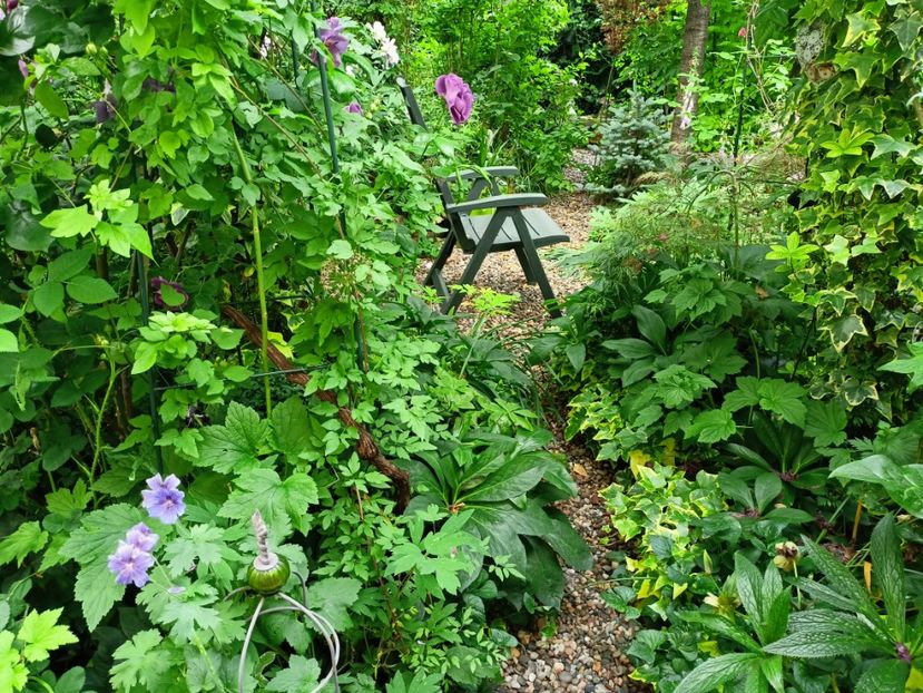  - Grădina 2023 continuare 2