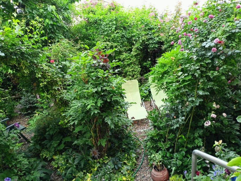  - Grădina 2023 continuare 2