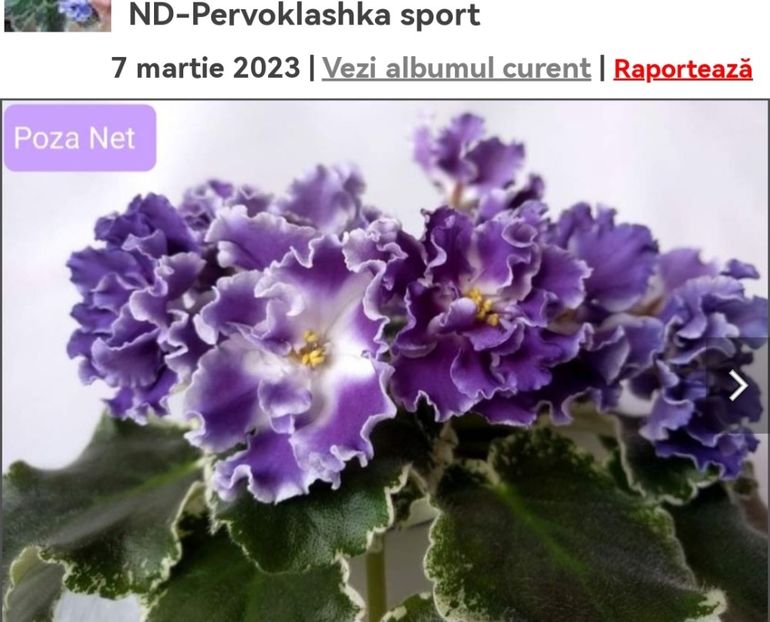 Screenshot_20230525_110416 - ND- Pervoklashka