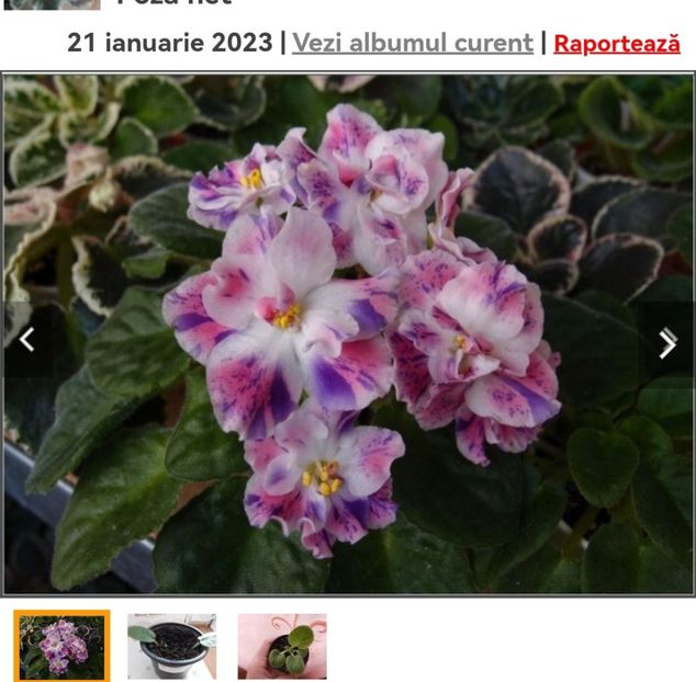 Screenshot_20230525_112104 - RM Pavilina