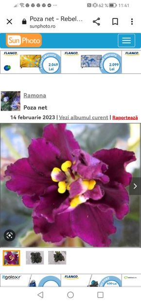 Screenshot_20230525_114102_com.android.chrome - Rebel s Flaming