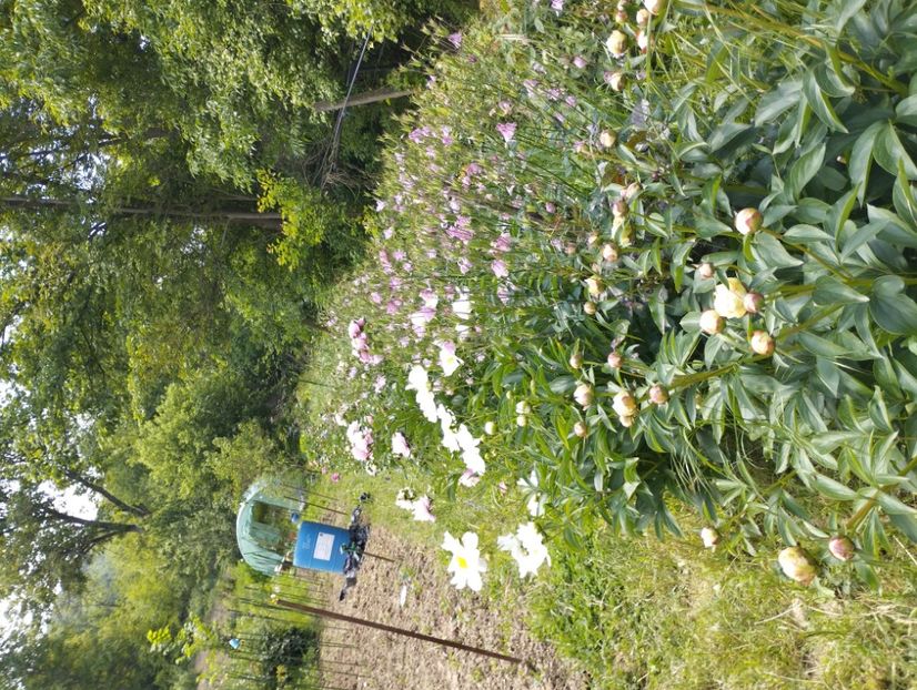  - Gradina 2023 vol 1