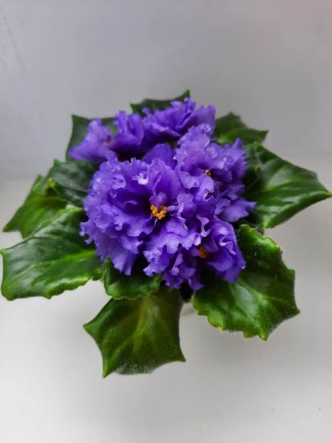 Mai 2023 - LE BUNTAR - sport