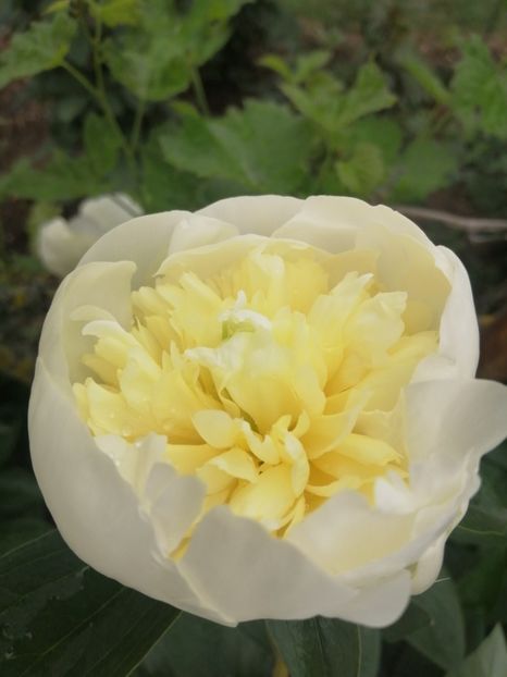  - Frumuseti la casa parinteasca