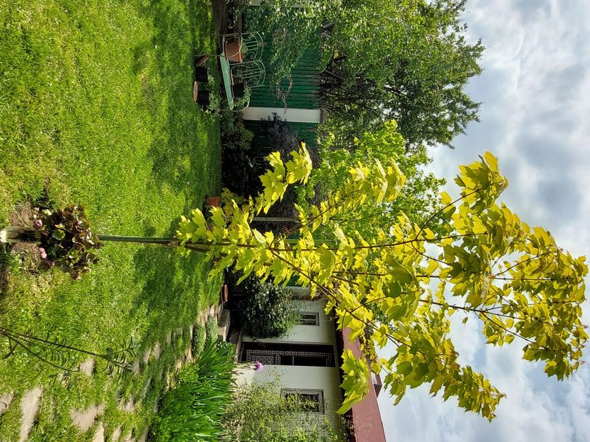  - 2023 mai