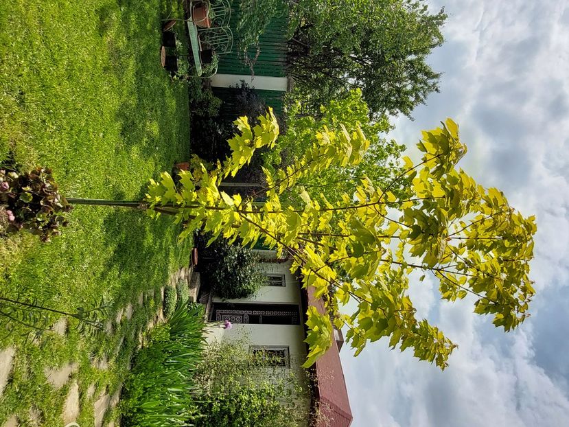  - 2023 mai