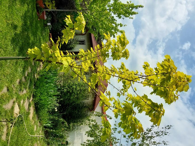  - 2023 mai