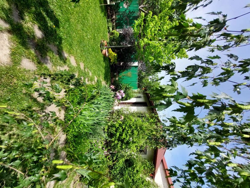 - 2023 mai