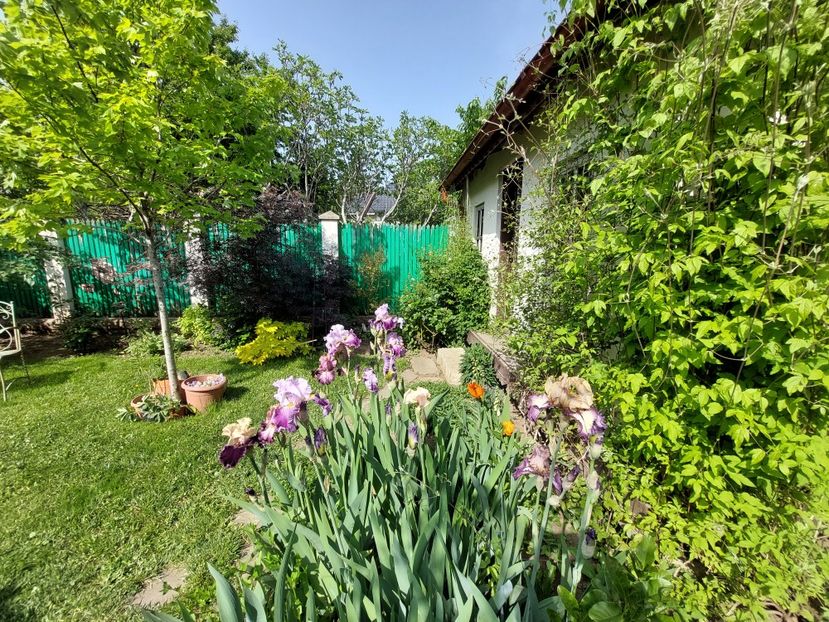  - 2023 mai
